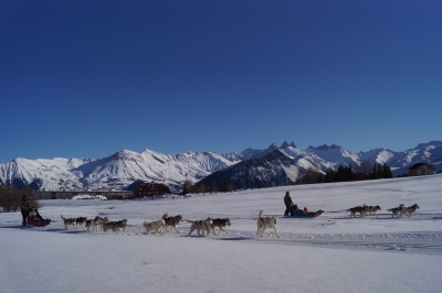 Centrale agence La Toussuire sled dogs winter